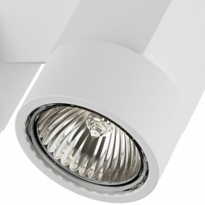 Светильник на штанге Lightstar Illumo X2 051036 в Кунгуре - kungur.mebel24.online | фото 2