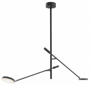 Светильник на штанге Maytoni Fad MOD070CL-L15B3K1 в Кунгуре - kungur.mebel24.online | фото