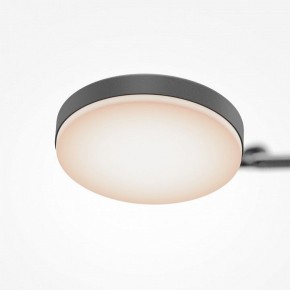 Светильник на штанге Maytoni Fad MOD070CL-L15B3K1 в Кунгуре - kungur.mebel24.online | фото 7