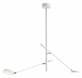 Светильник на штанге Maytoni Fad MOD070CL-L15W3K1 в Кунгуре - kungur.mebel24.online | фото