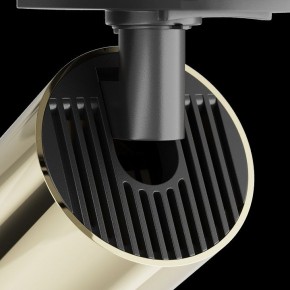 Светильник на штанге Maytoni Focus S TR020-1-U-GU10-BG в Кунгуре - kungur.mebel24.online | фото 4