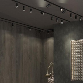 Светильник на штанге Novotech Elina 370777 в Кунгуре - kungur.mebel24.online | фото 4