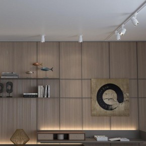 Светильник на штанге Novotech Molo 370927 в Кунгуре - kungur.mebel24.online | фото 5