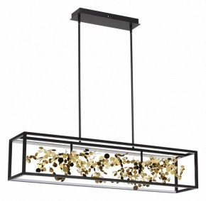 Светильник на штанге Odeon Light Bild 5065/65L в Кунгуре - kungur.mebel24.online | фото