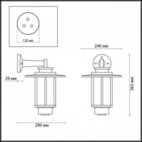 Светильник на штанге Odeon Light Mito 4047/1W в Кунгуре - kungur.mebel24.online | фото 5