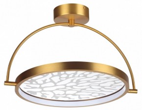 Светильник на штанге Odeon Light Solaris 6627/36CL в Кунгуре - kungur.mebel24.online | фото