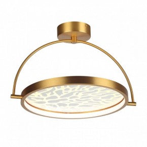 Светильник на штанге Odeon Light Solaris 6627/36CL в Кунгуре - kungur.mebel24.online | фото 3
