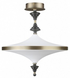 Светильник на штанге Odeon Light Ula 5404/43CL в Кунгуре - kungur.mebel24.online | фото