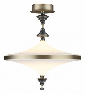 Светильник на штанге Odeon Light Ula 5404/43CL в Кунгуре - kungur.mebel24.online | фото 2