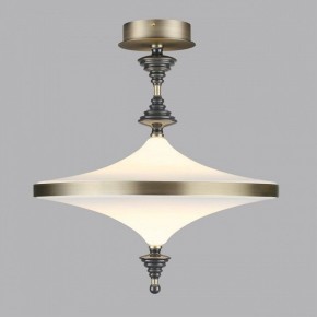 Светильник на штанге Odeon Light Ula 5404/43CL в Кунгуре - kungur.mebel24.online | фото 3