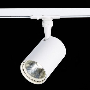 Светильник на штанге ST-Luce Cami ST351.536.20.36 в Кунгуре - kungur.mebel24.online | фото 6