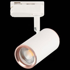 Светильник на штанге ST-Luce Cromi ST301.526.01 в Кунгуре - kungur.mebel24.online | фото 4