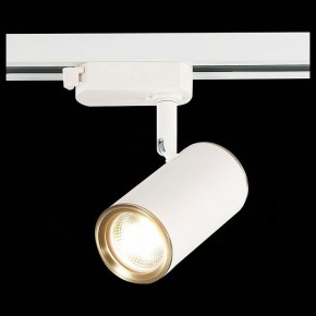 Светильник на штанге ST-Luce Cromi ST301.536.01 в Кунгуре - kungur.mebel24.online | фото 6