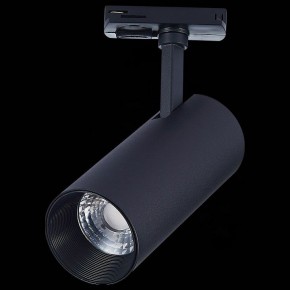Светильник на штанге ST-Luce Mono ST350.436.20.36 в Кунгуре - kungur.mebel24.online | фото 8