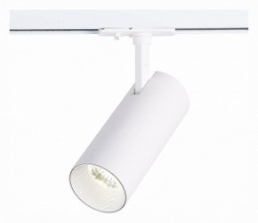 Светильник на штанге ST-Luce Mono ST350.536.20.36 в Кунгуре - kungur.mebel24.online | фото 2