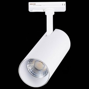 Светильник на штанге ST-Luce Mono ST350.536.20.36 в Кунгуре - kungur.mebel24.online | фото 6