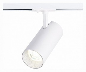 Светильник на штанге ST-Luce Mono ST350.536.30.36 в Кунгуре - kungur.mebel24.online | фото 2