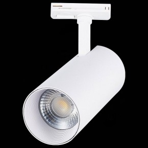 Светильник на штанге ST-Luce Mono ST350.536.30.36 в Кунгуре - kungur.mebel24.online | фото 6
