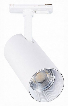 Светильник на штанге ST-Luce Mono ST350.546.20.36 в Кунгуре - kungur.mebel24.online | фото