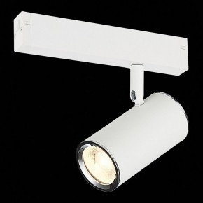 Светильник на штанге ST-Luce SKYLINE 220 ST504.506.01 в Кунгуре - kungur.mebel24.online | фото 3