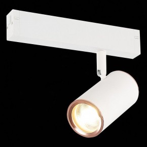 Светильник на штанге ST-Luce SKYLINE 220 ST504.526.01 в Кунгуре - kungur.mebel24.online | фото 2