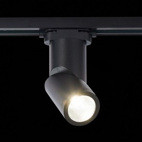 Светильник на штанге ST-Luce ST650 ST650.436.10 в Кунгуре - kungur.mebel24.online | фото 3