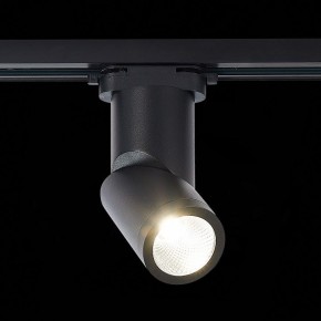 Светильник на штанге ST-Luce ST650 ST650.446.10 в Кунгуре - kungur.mebel24.online | фото 2