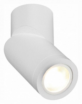 Светильник на штанге ST-Luce ST650 ST650.502.01 в Кунгуре - kungur.mebel24.online | фото 3