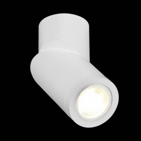 Светильник на штанге ST-Luce ST650 ST650.502.01 в Кунгуре - kungur.mebel24.online | фото 4