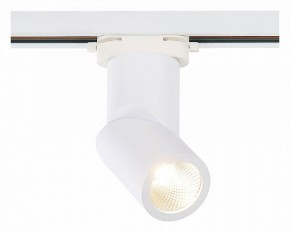Светильник на штанге ST-Luce ST650 ST650.536.10 в Кунгуре - kungur.mebel24.online | фото 2