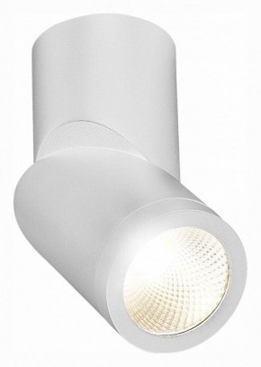 Светильник на штанге ST-Luce ST650 ST650.542.10 в Кунгуре - kungur.mebel24.online | фото 3