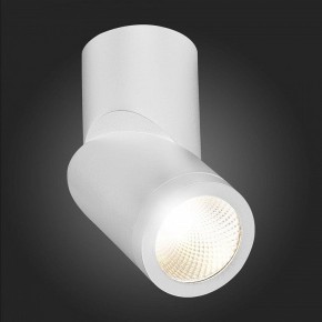Светильник на штанге ST-Luce ST650 ST650.542.10 в Кунгуре - kungur.mebel24.online | фото 6