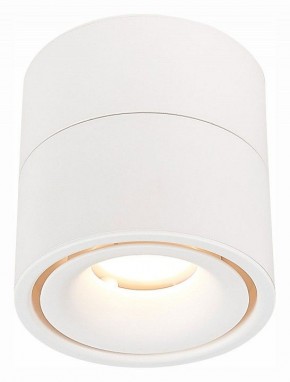 Светильник на штанге ST-Luce ST652 ST652.542.12 в Кунгуре - kungur.mebel24.online | фото 2