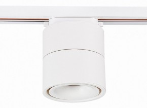 Светильник на штанге ST-Luce ST652 ST652.546.12 в Кунгуре - kungur.mebel24.online | фото 2