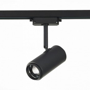 Светильник на штанге ST-Luce Zoom ST600.446.12 в Кунгуре - kungur.mebel24.online | фото 3