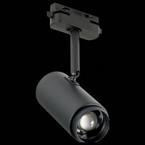 Светильник на штанге ST-Luce Zoom ST600.446.12 в Кунгуре - kungur.mebel24.online | фото 4