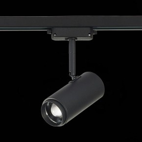 Светильник на штанге ST-Luce Zoom ST600.446.12 в Кунгуре - kungur.mebel24.online | фото 6