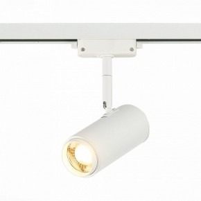 Светильник на штанге ST-Luce Zoom ST600.536.12 в Кунгуре - kungur.mebel24.online | фото 2
