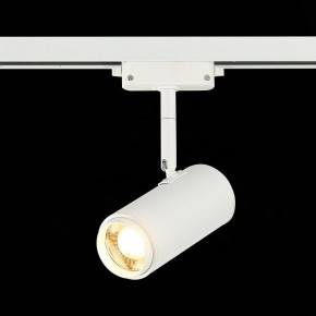 Светильник на штанге ST-Luce Zoom ST600.536.12 в Кунгуре - kungur.mebel24.online | фото 4
