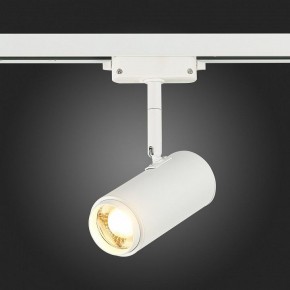 Светильник на штанге ST-Luce Zoom ST600.536.12 в Кунгуре - kungur.mebel24.online | фото 7