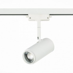 Светильник на штанге ST-Luce Zoom ST600.546.12 в Кунгуре - kungur.mebel24.online | фото 3
