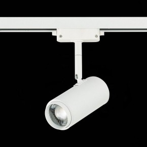 Светильник на штанге ST-Luce Zoom ST600.546.12 в Кунгуре - kungur.mebel24.online | фото 5