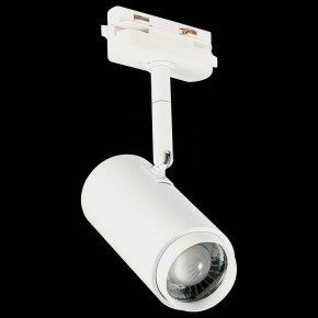 Светильник на штанге ST-Luce Zoom ST600.546.12 в Кунгуре - kungur.mebel24.online | фото 6