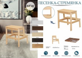 Табурет Стремянка в Кунгуре - kungur.mebel24.online | фото 6