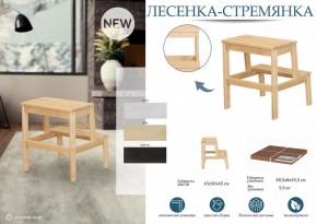 Табурет Стремянка в Кунгуре - kungur.mebel24.online | фото 4