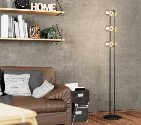 Торшер Eglo ПРОМО Chieveley 43544 в Кунгуре - kungur.mebel24.online | фото 2