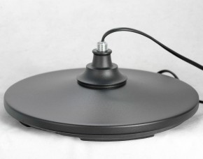 Торшер Lussole Greene LSP-0572 в Кунгуре - kungur.mebel24.online | фото 4