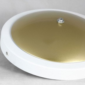 Торшер Lussole LSP-062 LSP-0625 в Кунгуре - kungur.mebel24.online | фото 2