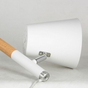 Торшер Lussole Buckeye LSP-0628 в Кунгуре - kungur.mebel24.online | фото 4