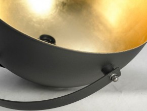 Торшер Lussole Sherrelwood LSP-9824 в Кунгуре - kungur.mebel24.online | фото 4
